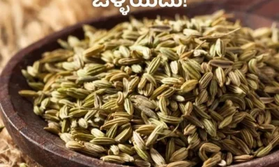 Anise Benefits