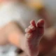 Dog bites newborn baby near maternity ward of Meggan Hospital New Born Baby Death updates