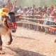 Bull taming festival soraba