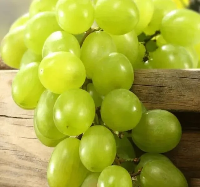 Grapes Benefits