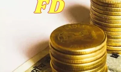 Highest Interest Paying Bank FDs