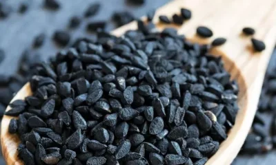 Kalonji Seeds Benefits