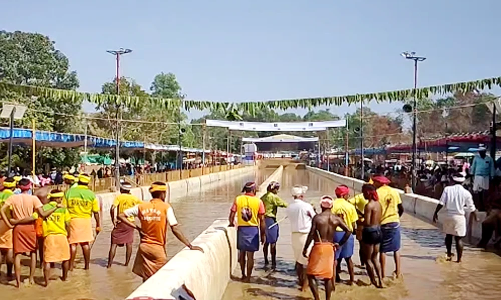 Kambala Festival