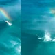 Dolphin jumping over a rainbow Video viral