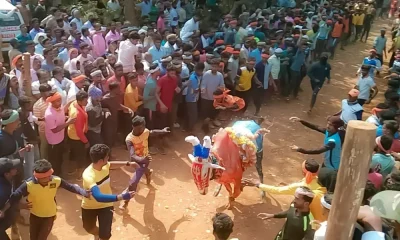 bull-taming festival Kuppagadde village soraba