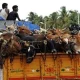 cows smuggled to Bangladesh