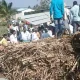sugarcane Tractor overturns on roadside shed Woman dies four critically injured