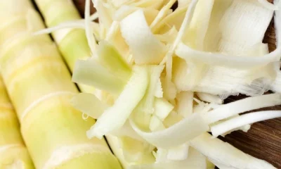 Bamboo Shoots Benefits