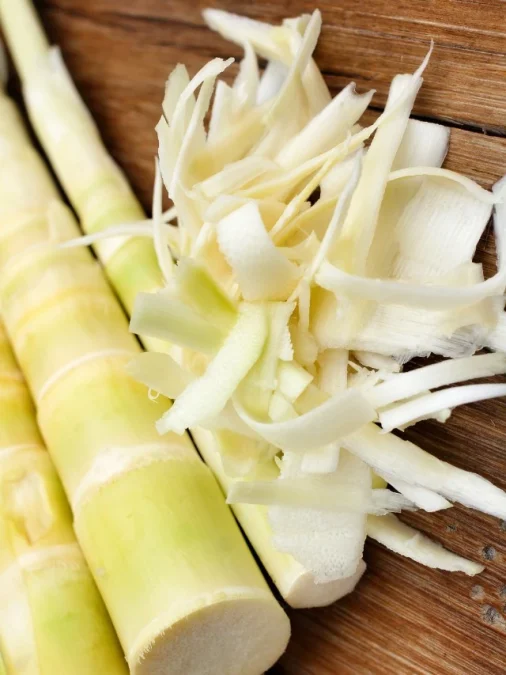 Bamboo Shoots Benefits