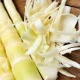 Bamboo Shoots Benefits