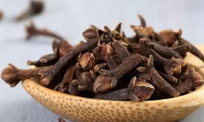 Cloves Benefits