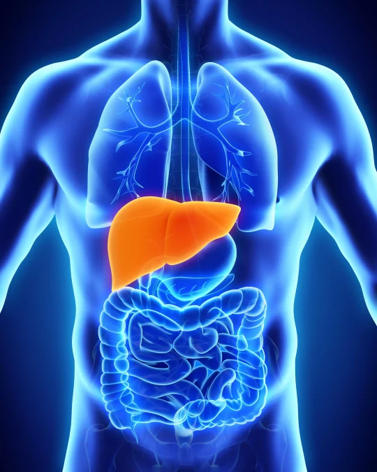 Fatty liver disease 