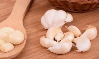 Garlic Benefits