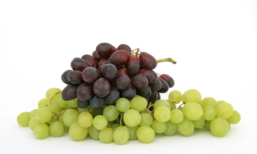 Grapes For Diabetics 