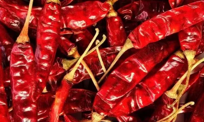 Health Benefits of Red Chilli