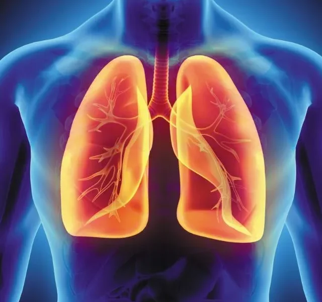 Herbs That Improve Lung Health