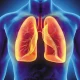 Herbs That Improve Lung Health