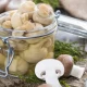 How to Preserve Mushrooms