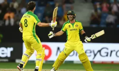 IND VS AUS: Aussies announce squad for ODI series against India; Maxwell returned to the team