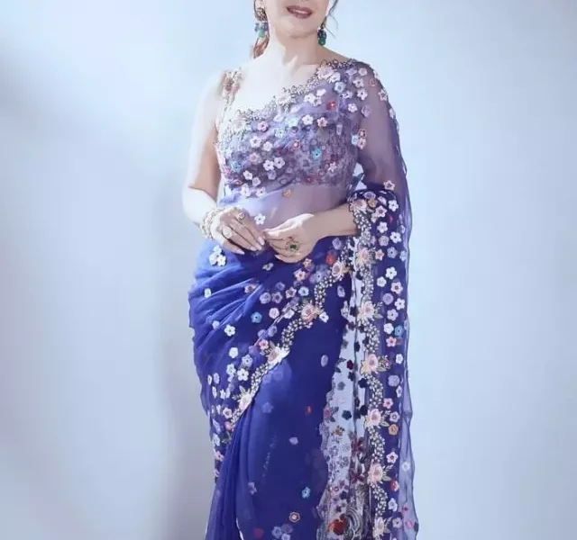 Madhuri Dixit in Marathi look 2