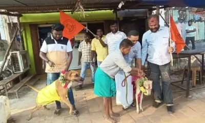 Hindu outfit Did Dogs Wedding In Tamil Nadu to oppose Valentines Day