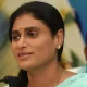 YS Sharmila appointed as President of Andhra Congress