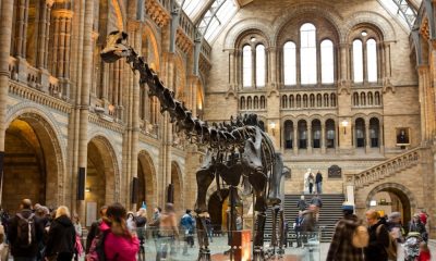 Adani Group: London Museum's decision to continue association with Adani Group