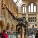 Adani Group: London Museum's decision to continue association with Adani Group