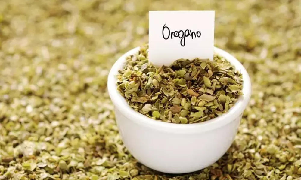 oregano benefits