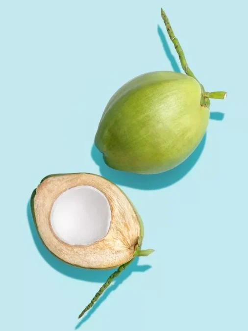 Coconut Porridge Benefits 5