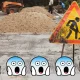 Road digging officials should have discretion