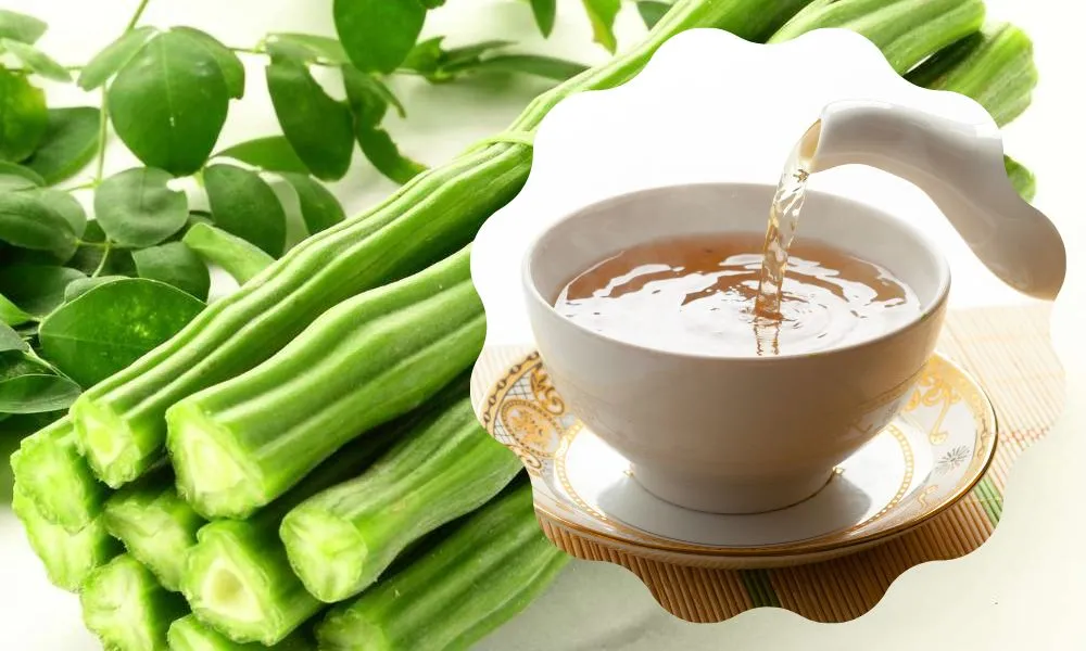 Drumstick Tea Health Benefits 