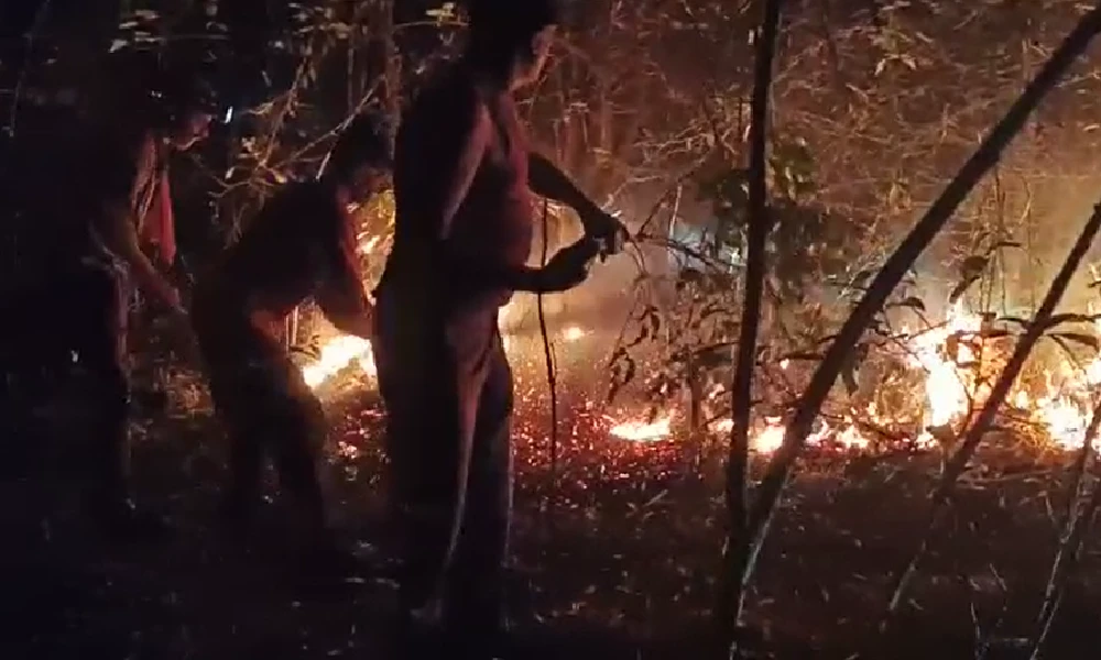 Police arrest man who set forest on fire
