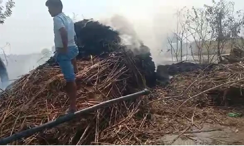 Police arrest man who set forest on fire
