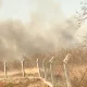 Miscreants set fire to stack of paddy straw stored at Koppal gaushala and Forest fire breaks out in Bidar