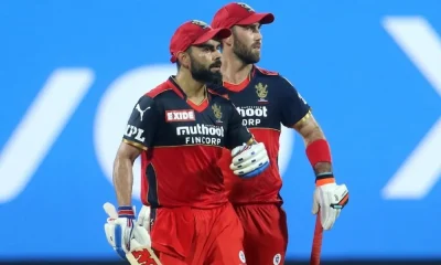 IPL 2023 Maxwell informed about injury RCB fans are worried