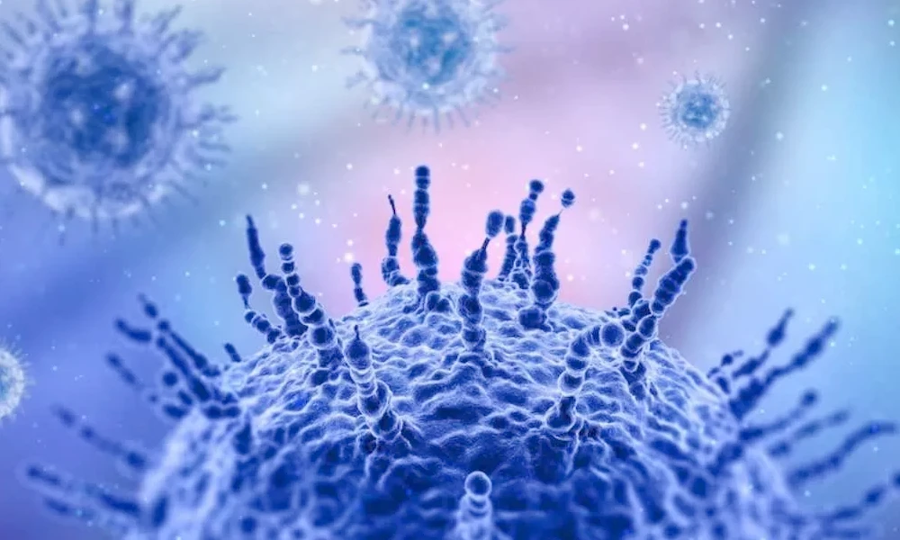 Gujarat Reports First Death From H3N2 Virus