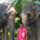 The imam wrote a will of five crore rupees property to elephants!