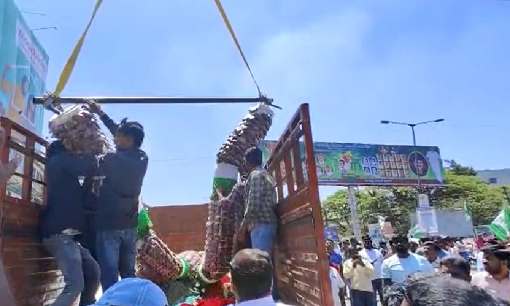 Fans sacrifice sheep for pancharatna yatra success in Anekal