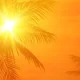 Kerala Weather witnessing for severe heatwave conditions