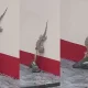 Lizard Fights With Snake viral Video
