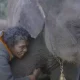 elephant whisperers