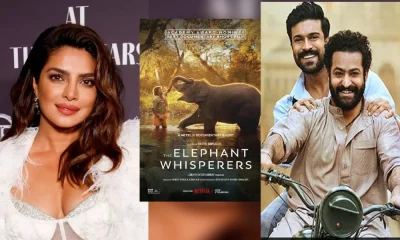Priyanka Chopra Cheers for Naatu Naatu Oscar Performance, The Elephant Whisperers