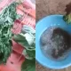 Man Dips Leafy Vegetables In Chemical Solution, Here is a video