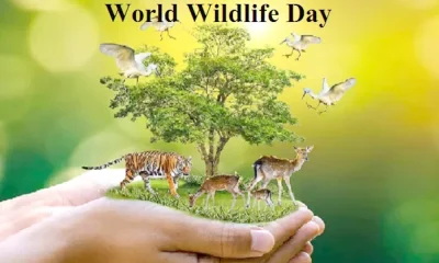 World Wildlife Day