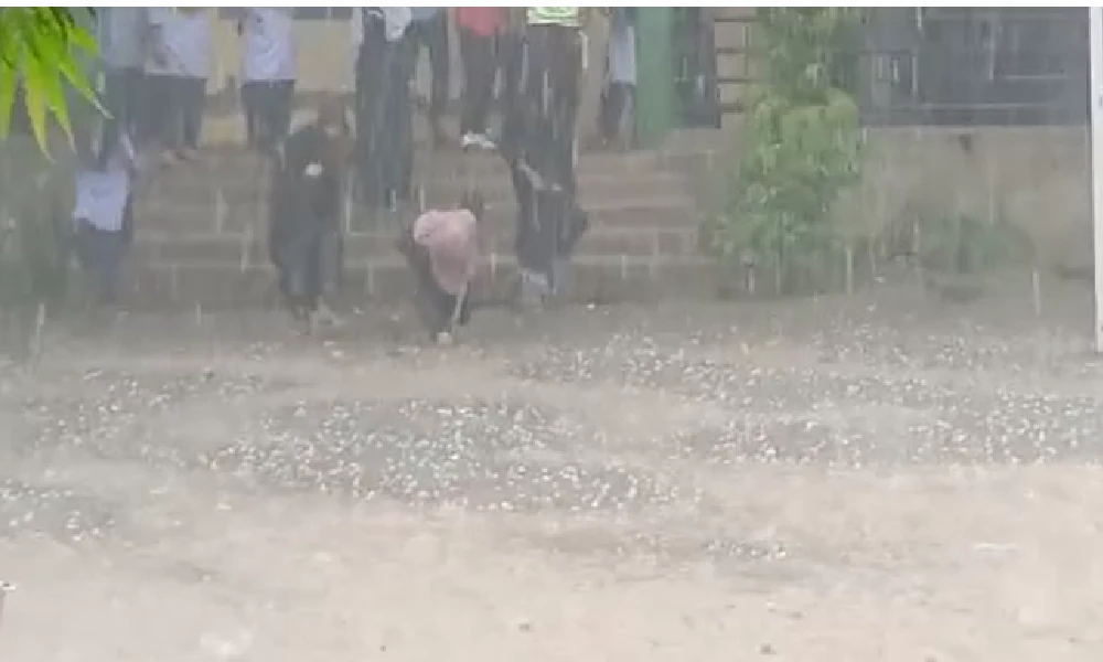 Farmers in distress due to hailstorm