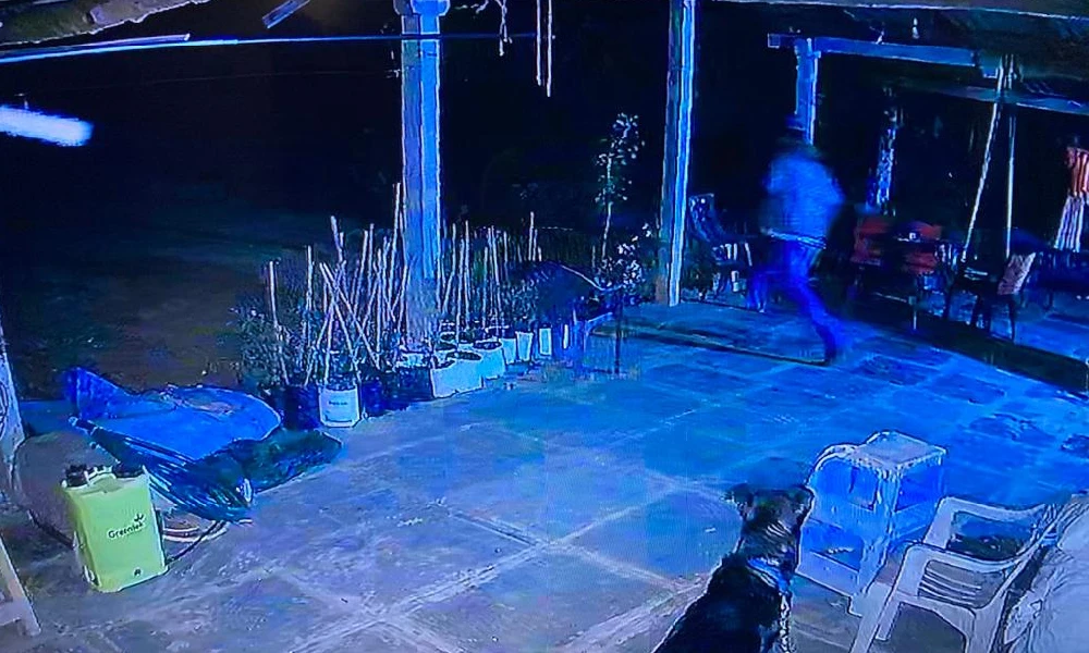 Thieves who came to the house to give a wedding invitation card, Attempt to attack with a knife