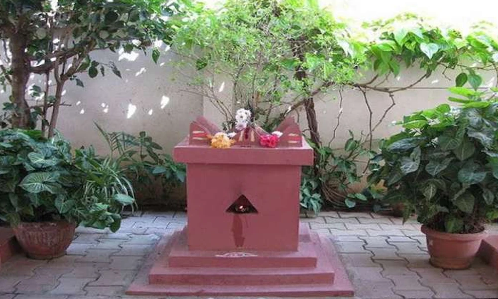 Tulsi plant Vastu Shastra tips in kannada for your home