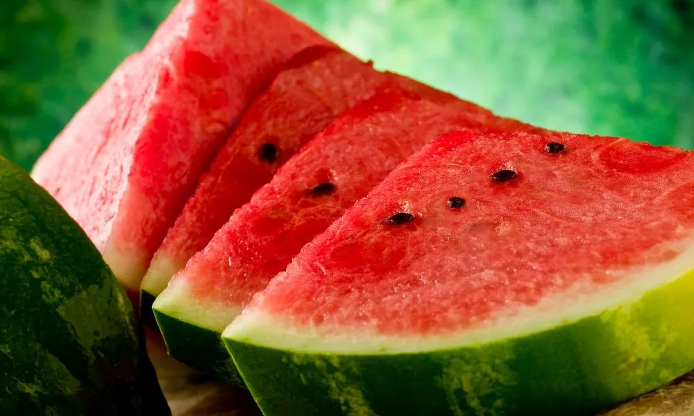 Watermelon Protein