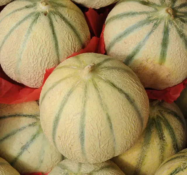 Benefits Of Muskmelon